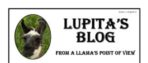 Lupita's Blog From a Llama's Point of View with picture of a llama's head