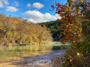 Autumn colored leaves on trees lining a river