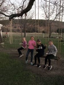 4 kids sit on swings hanging from a large tree