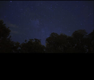 Many twinkling bright stars against a dark blue night sky