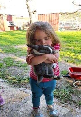 A young brown haired girl hugs a grey and white bunny in front of a barnyard
