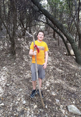 A teenage boy stands in the woods surrounded by trees holding a walking stick.