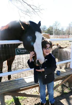 A young boy hugs a brown horses neck.