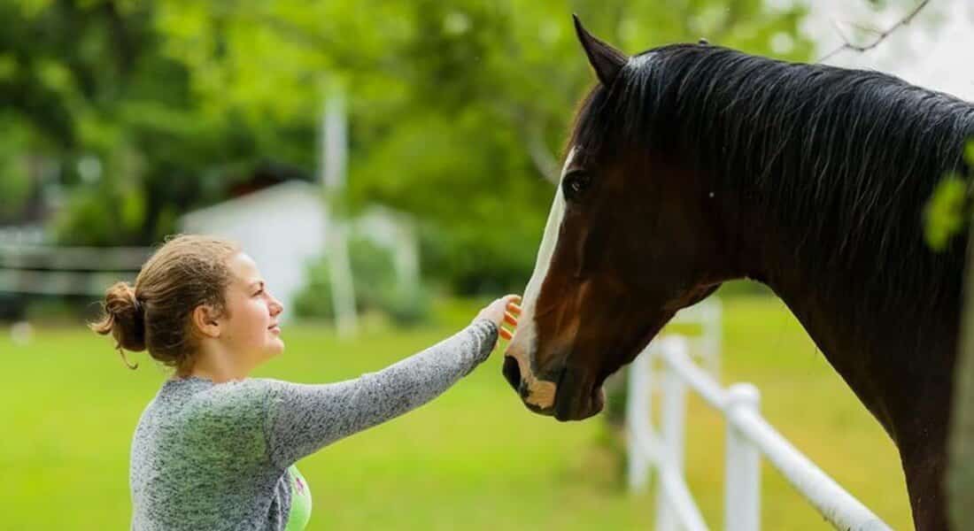 A young blonde woman pets a chestnut horse on the nose. 