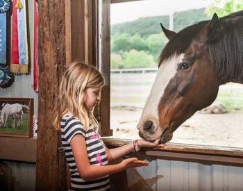 A blonde girl in a striped shirt feeds a chestnut horse with a white blaze.